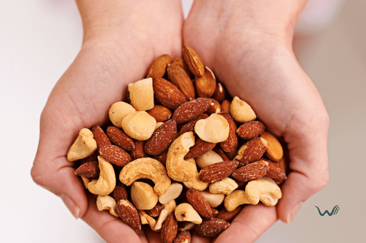 7 Nuts Your Dog Can Safely Eat