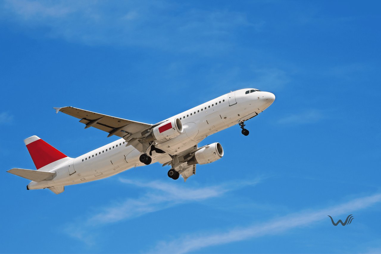 7 Things To Understand About Spirit Airlines Pet Policy