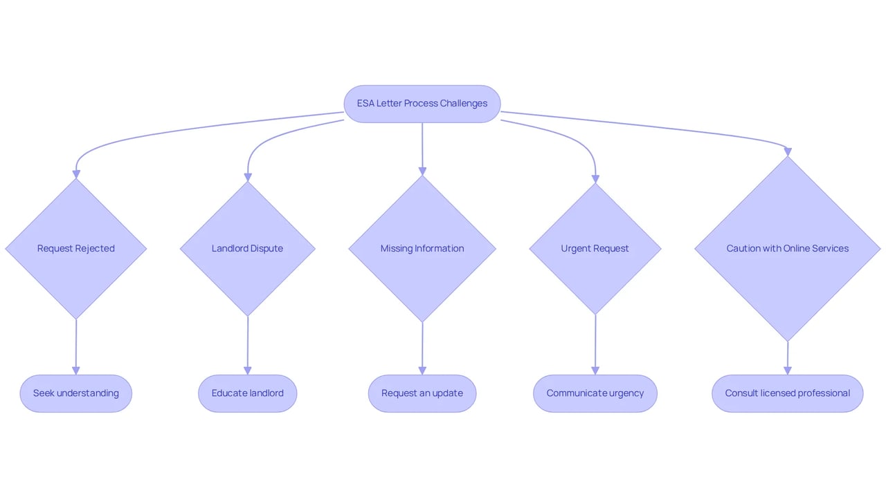 Each box represents a challenge you may face in obtaining your ESA letter, with arrows guiding you to the next steps or solutions. Follow the flow to see how to navigate each issue effectively.