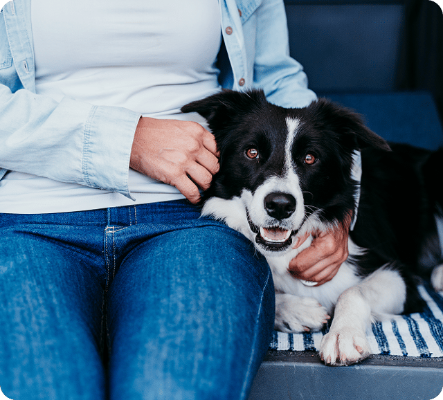A person sitting on a chair with a dog resting underneath