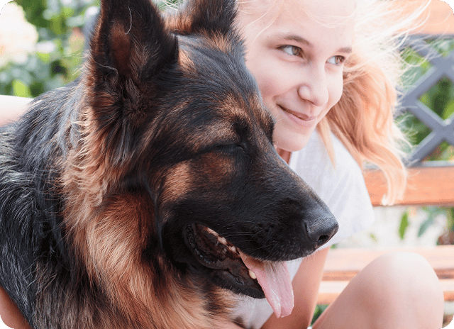 A service dog assisting its handler