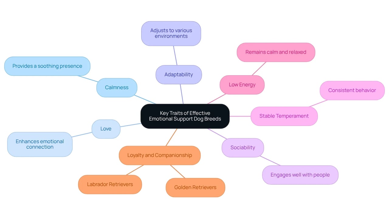 Each branch represents a key trait that makes a dog effective as an emotional support animal. The sub-branches provide examples and details of how these traits benefit companionship and emotional support.