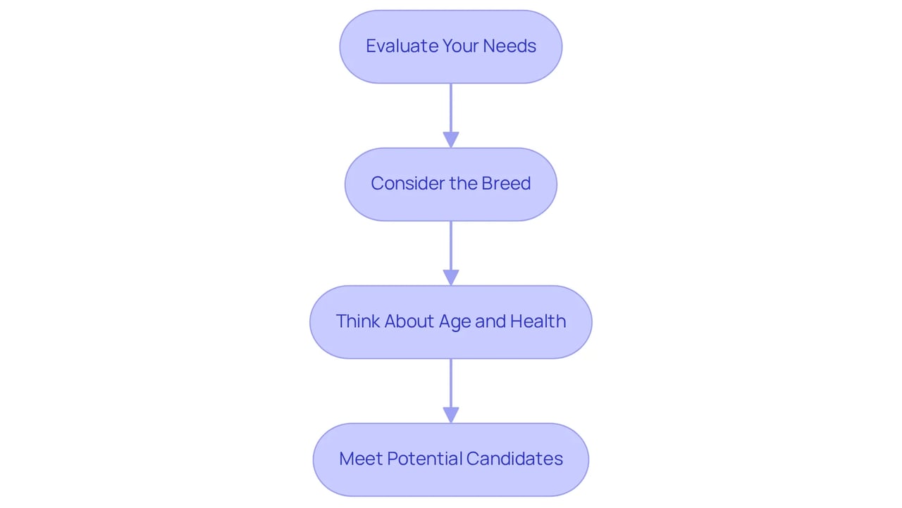 Each box represents a crucial step in selecting a dog for psychiatric service dog training. Follow the arrows to see the order of actions you should take for the best outcome.