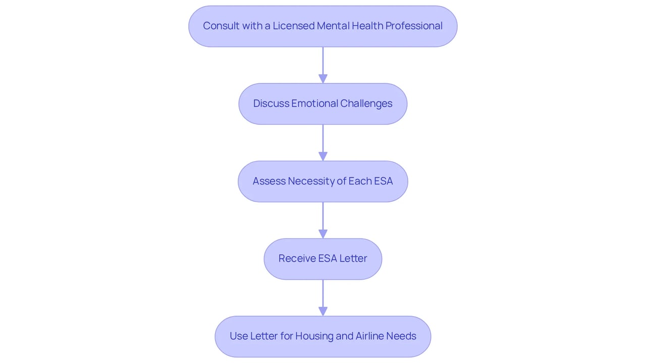 Each box represents a step in the journey to get ESA letters for your pets. Follow the arrows to understand how to proceed through the process.