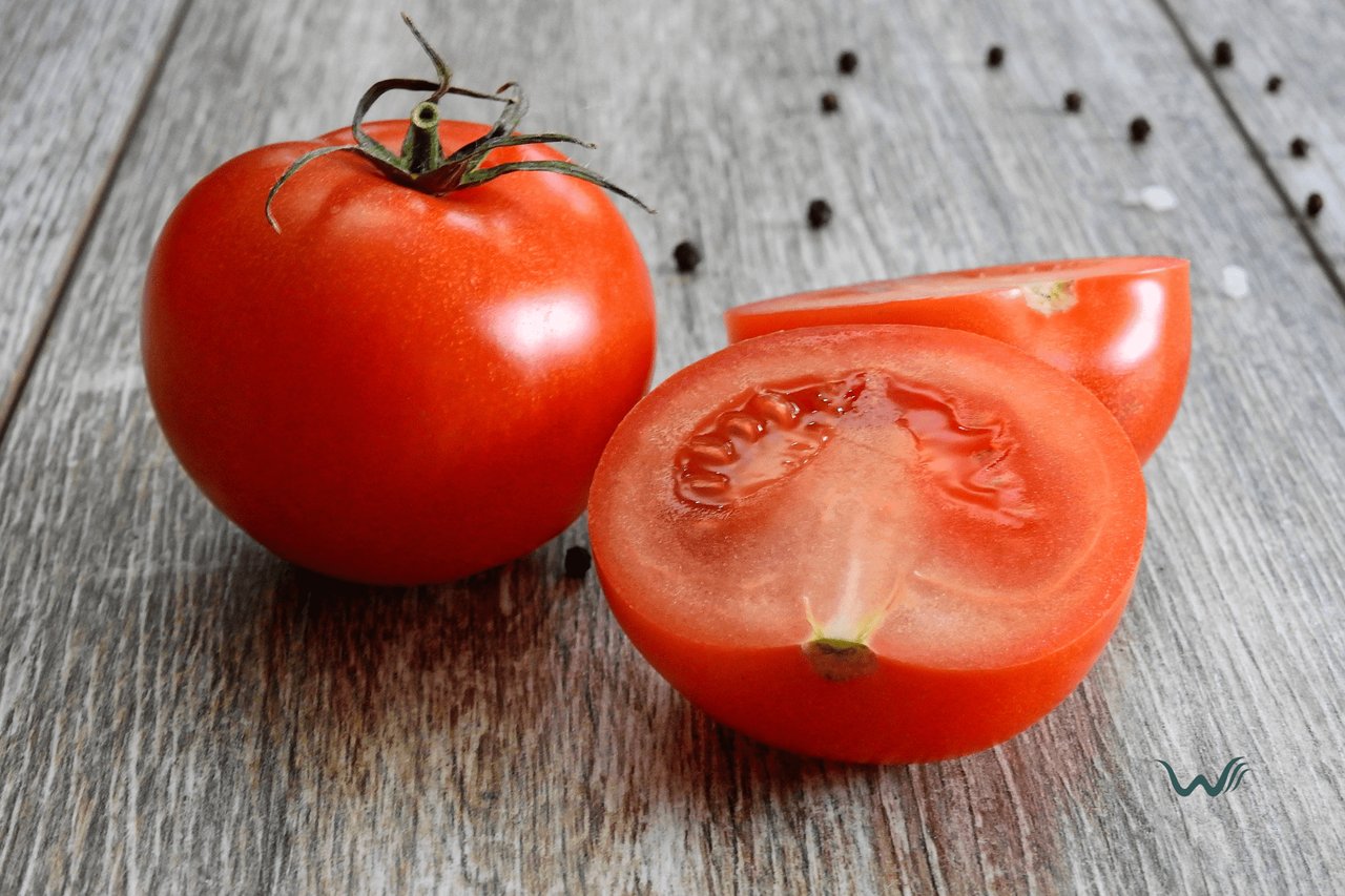 Can Dogs Eat Tomatoes?