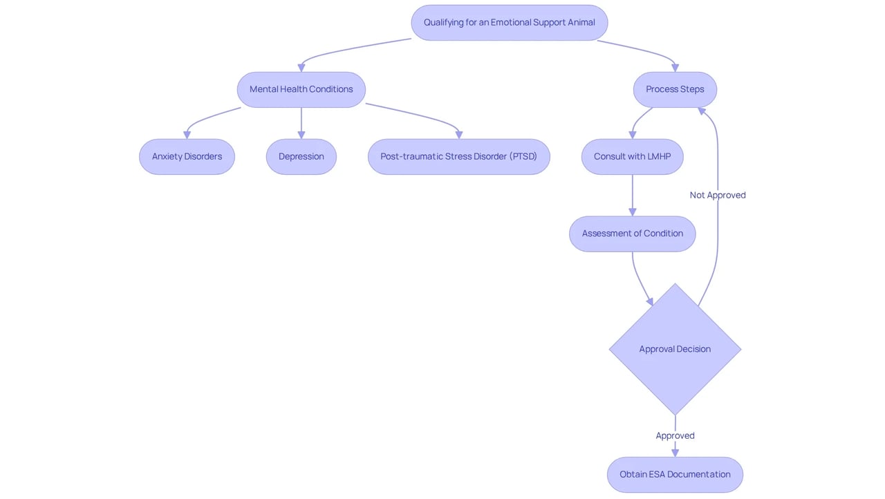 The flowchart illustrates the steps to qualify for an ESA and the mental health conditions that may qualify. Light blue boxes represent mental health conditions, while light green boxes represent the process steps. The flowchart illustrates the steps to qualify for an ESA and the mental health conditions that may qualify. Light blue boxes represent mental health conditions, while light green boxes represent the process steps.