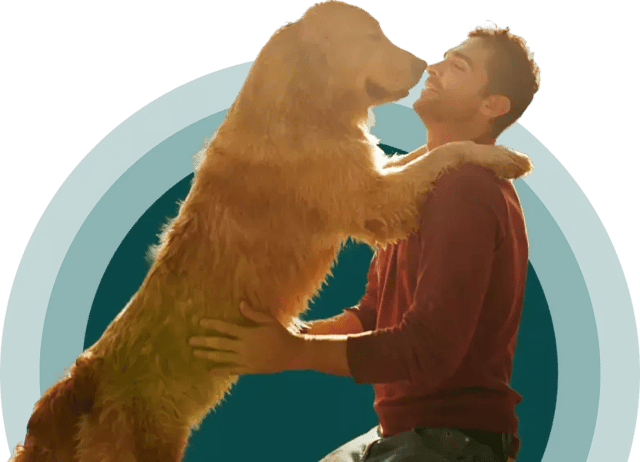 A person with their emotional support dog in St. George