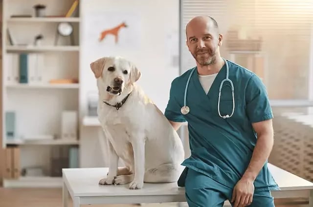 Licensed mental health professional with dog