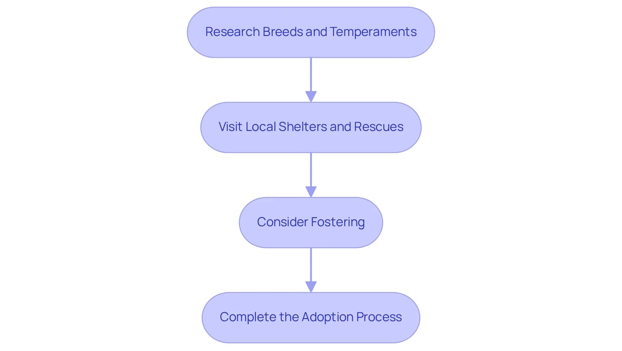 Each box shows a step in the adoption process — follow the arrows to see how each action leads to the next in your journey of finding a loving companion.