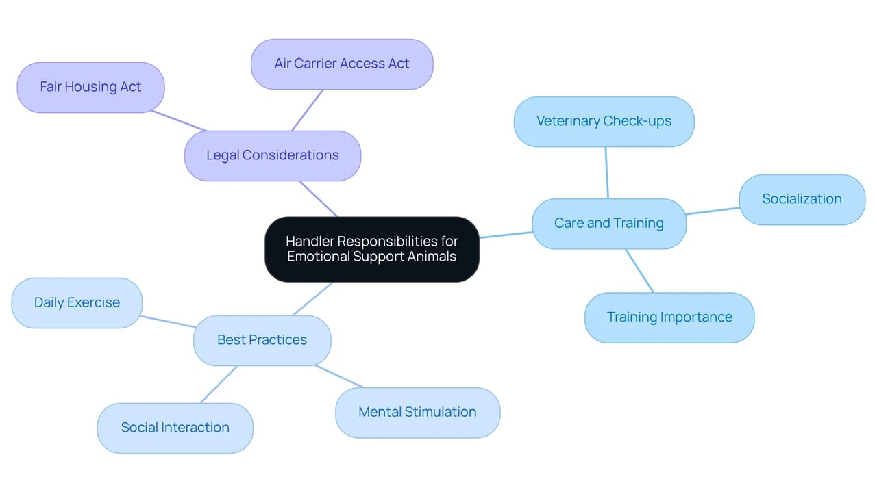 This mindmap shows the responsibilities of ESA handlers. Start in the center with the main idea and follow the branches to explore care practices, best practices, and legal rights that ensure the well-being of both the animal and the owner.