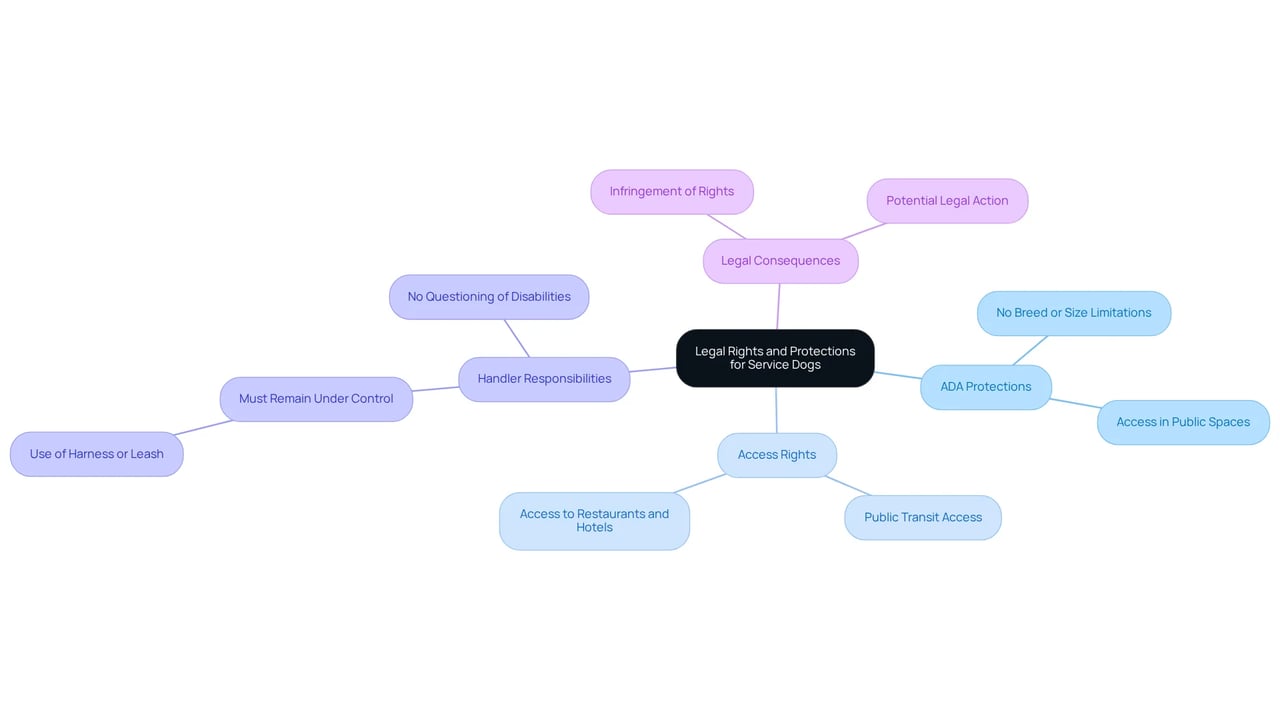 The central node represents the overall topic, while the branches illustrate key areas of rights and responsibilities. Each sub-branch provides specific details to enhance understanding of the legal landscape regarding service dogs.