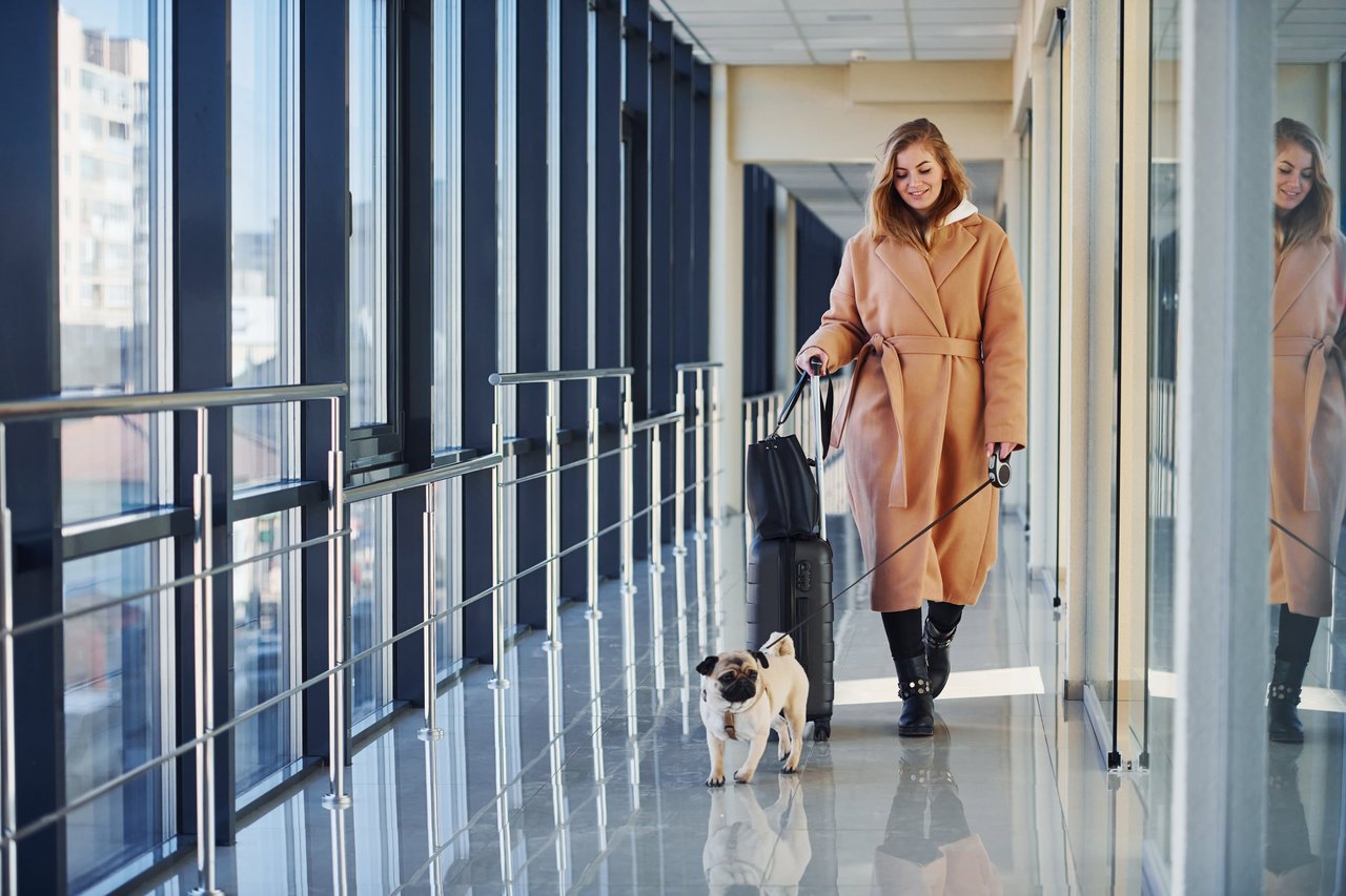 Discover & Navigate the Air Carrier Access Act (ACAA)
