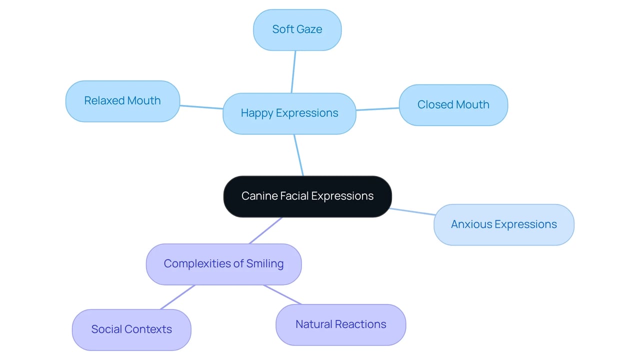 At the center is the main topic of dog smiles, branching out to various expressions and their meanings. Each branch helps explain how dogs communicate their feelings, making it easier for owners to interpret their pets' emotions. At the center is the main topic of dog smiles, branching out to various expressions and their meanings. Each branch helps explain how dogs communicate their feelings, making it easier for owners to interpret their pets' emotions.