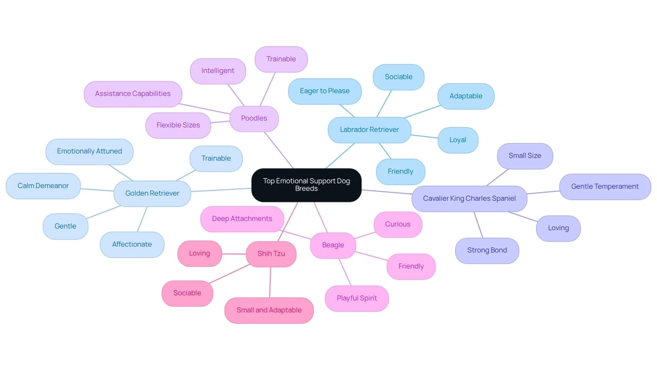 Each branch represents a dog breed, highlighting their unique qualities and traits that make them excellent companions for emotional support.
