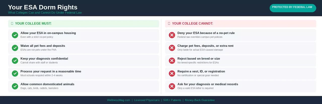 esa dorm rights checklist h