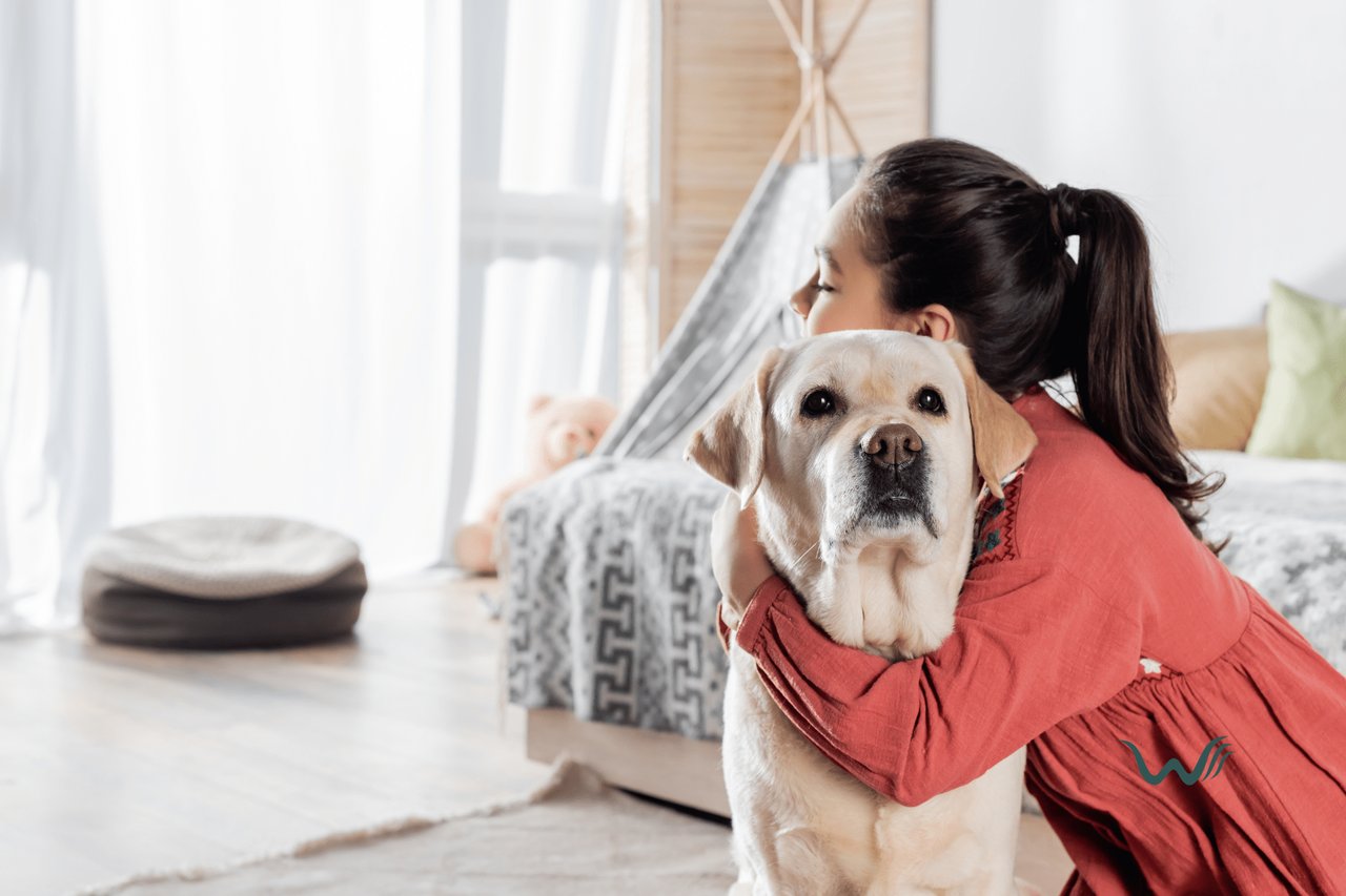 ESA Housing Rights: How to Secure Pet-Friendly Living Legally