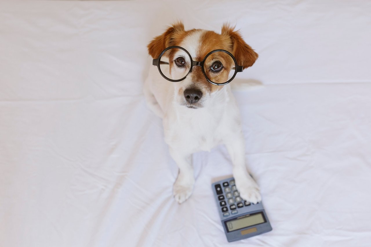 Official ESA letter consultation benefits from Wellness Wag