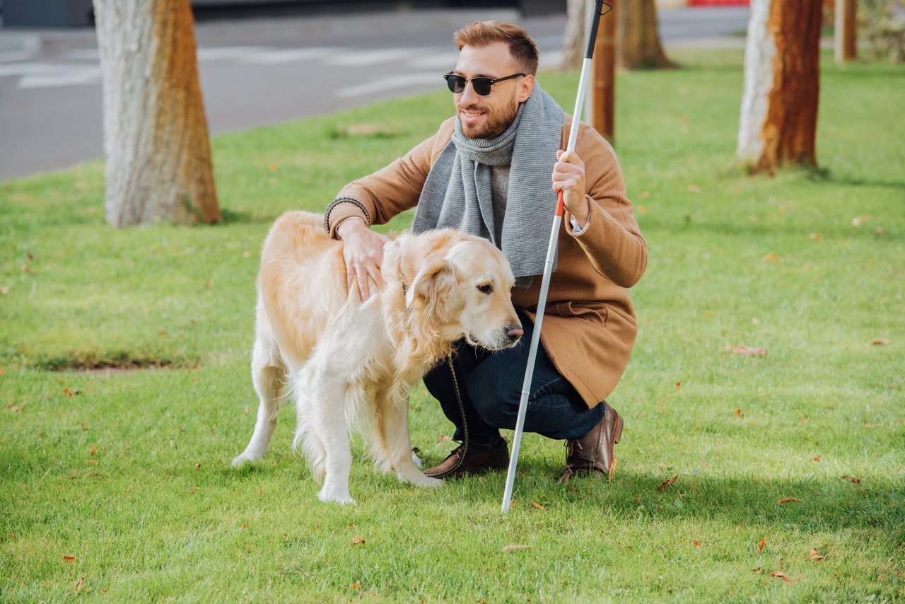 An assistance dog with its handler