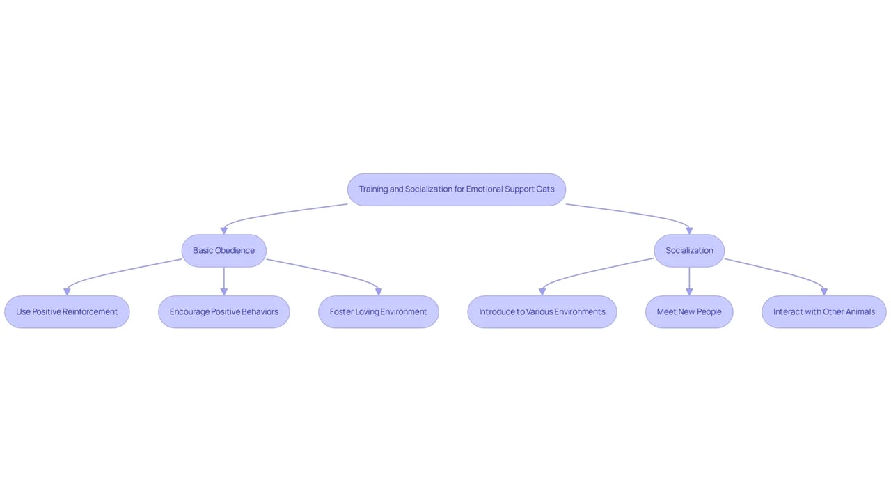 Each box represents a step in the training or socialization process — follow the arrows to see how these actions connect and contribute to nurturing an effective emotional support cat.
