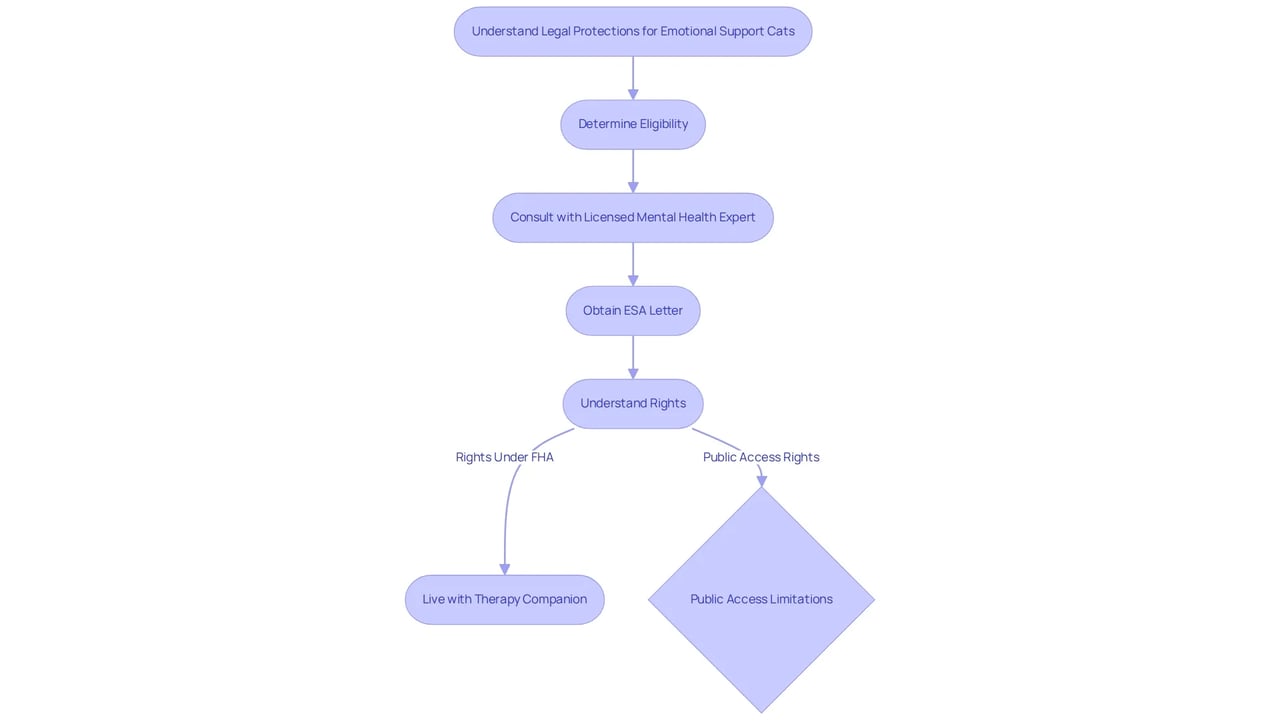 Follow the arrows to see the steps for getting legal protections for your emotional support cat and what you need to do to ensure your rights and your cat's rights are respected.