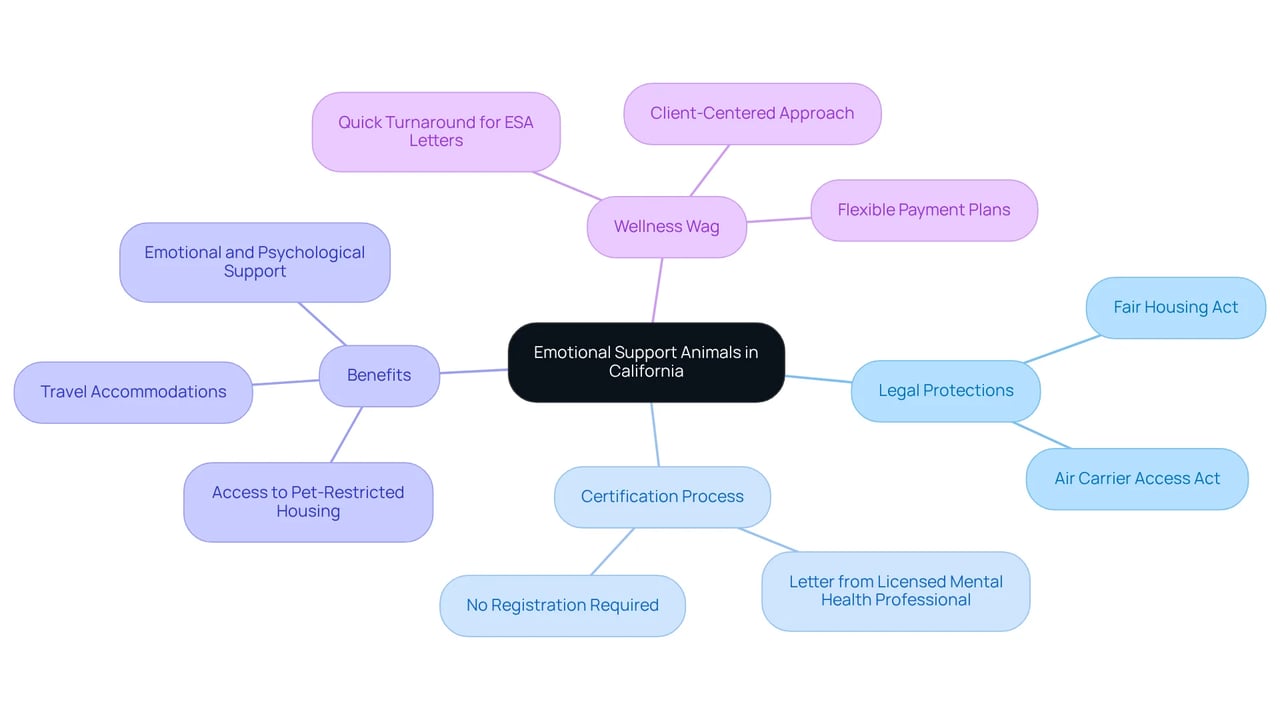 The center represents Emotional Support Animals, and the branches show different aspects such as laws, certification, and organizational support — follow the branches to see how everything connects. The center represents Emotional Support Animals, and the branches show different aspects such as laws, certification, and organizational support — follow the branches to see how everything connects.