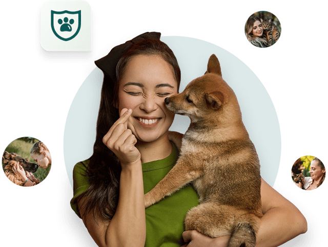 The Pet Insurance coverage you actually need