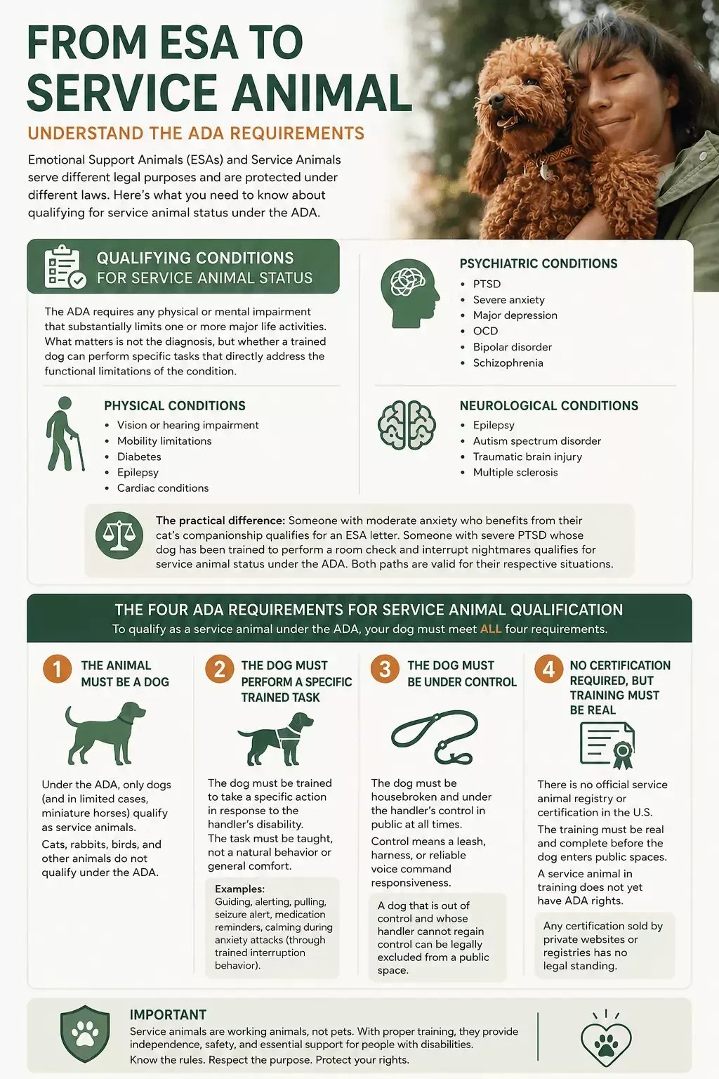 how can an esa become a service dog the complete guide 2026