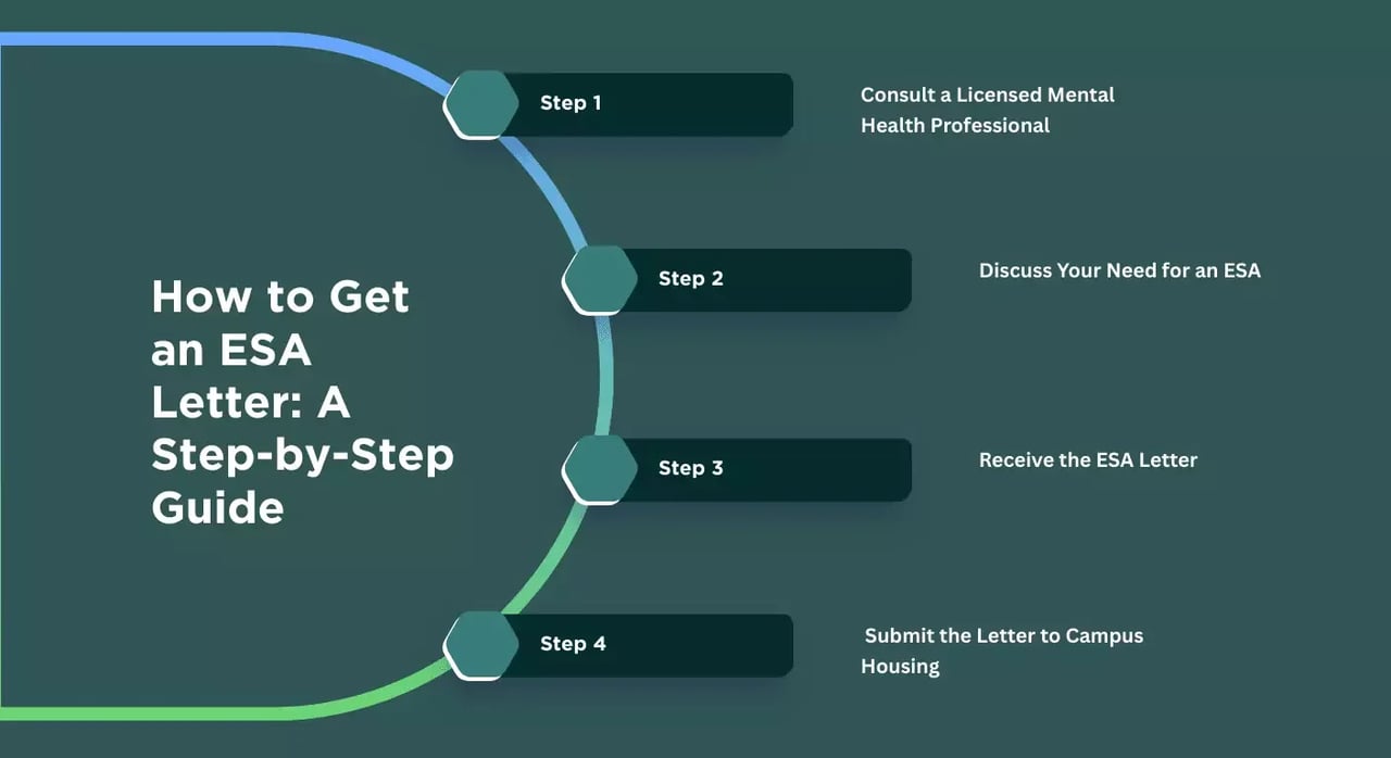 how to get an esa letter a step by step guide
