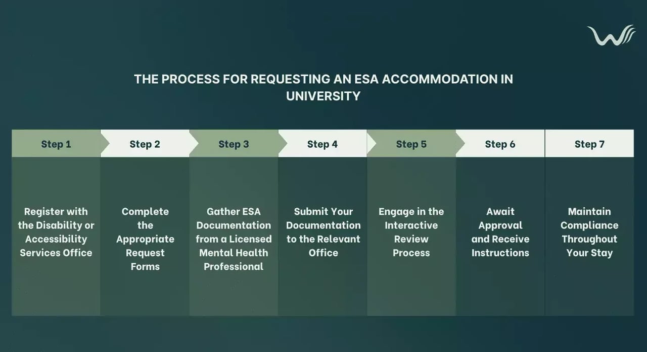 how to request esa accommodation from university a step by step guide