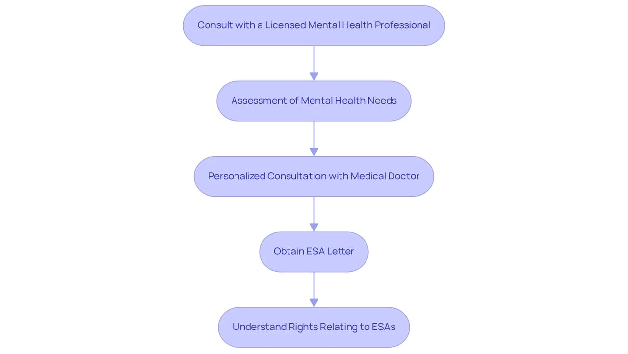 Each box represents a step in the process, with arrows indicating the flow from one step to the next. Color coding distinguishes between consultation steps and rights understanding.