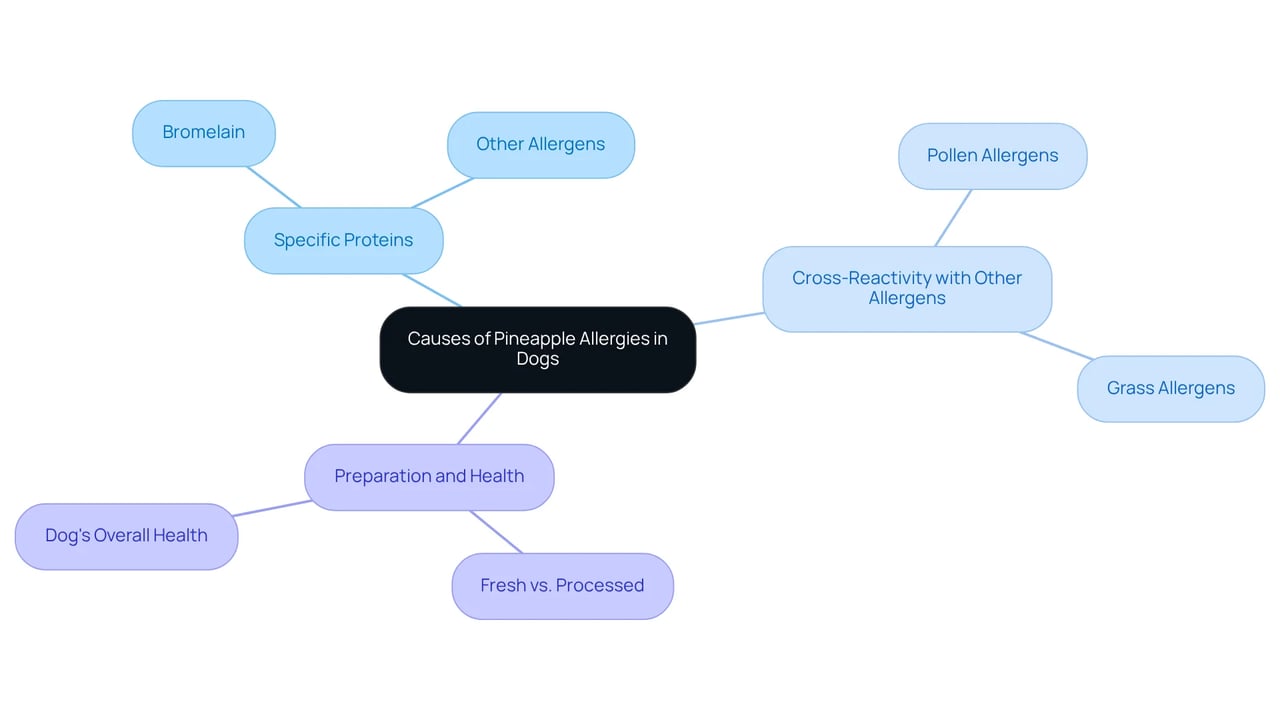The central idea represents the allergy concern, while the branches show different factors that can contribute to this issue. Follow the branches to see how each factor is related to the overall topic.