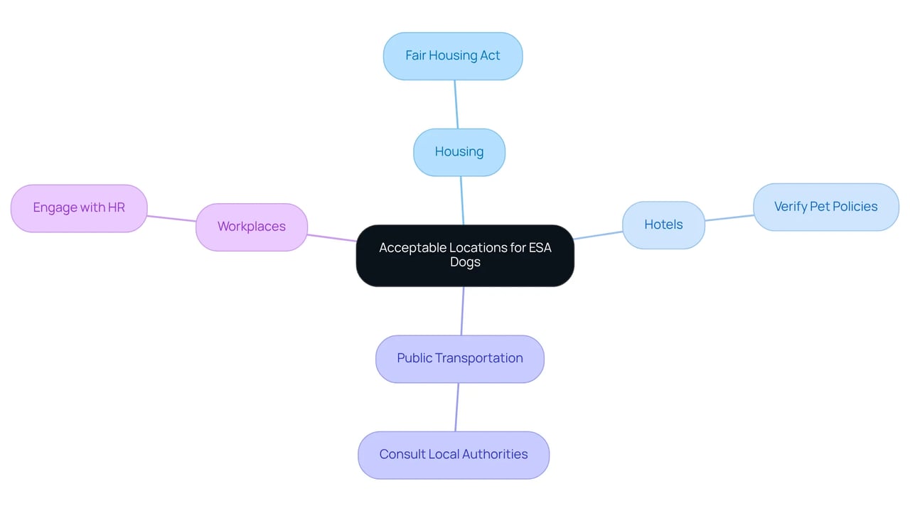 The central idea is where you can take your ESA dog. Each branch represents a different category, showing specific policies and tips for that location type. The central idea is where you can take your ESA dog. Each branch represents a different category, showing specific policies and tips for that location type.