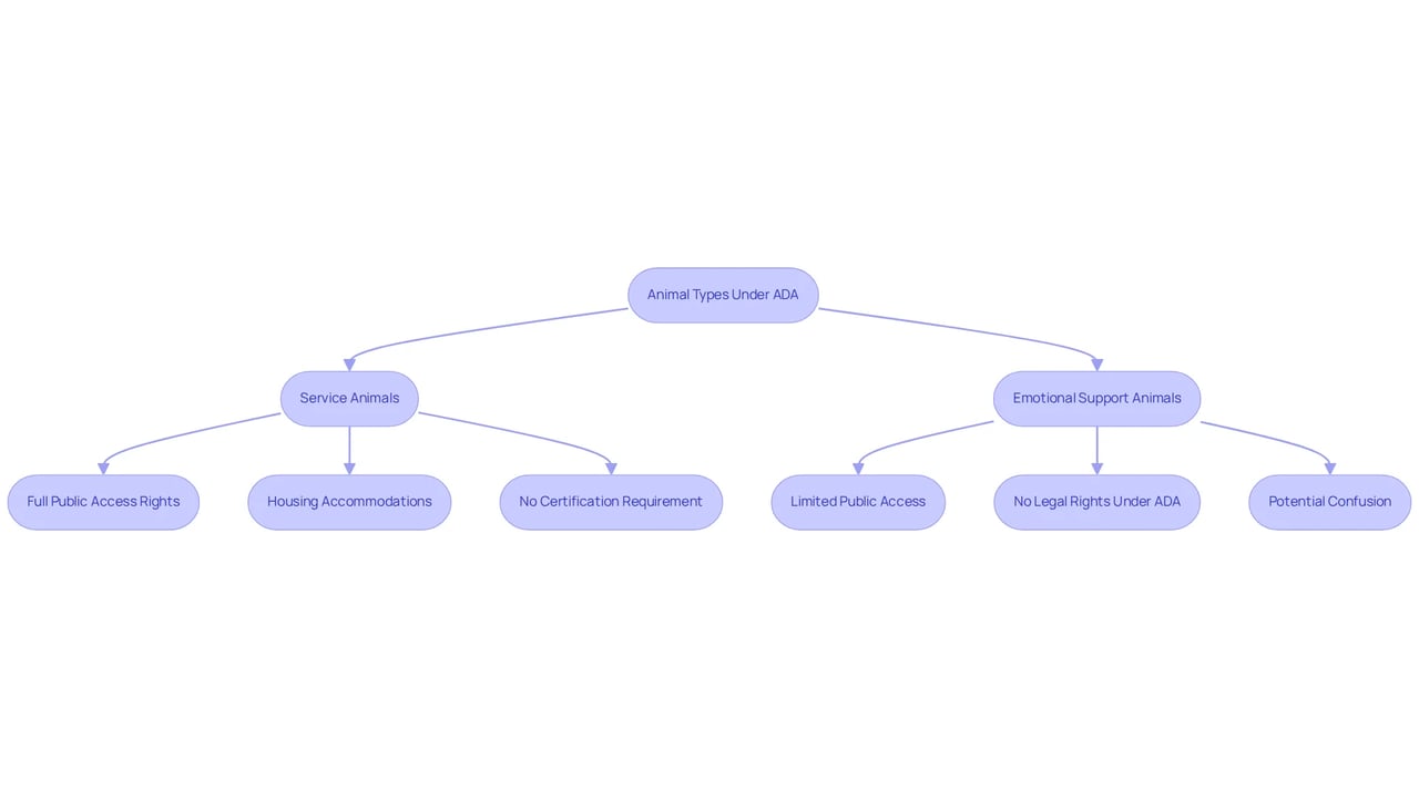 This flowchart helps you navigate the differences between service animals and emotional support animals. The blue sections show the rights and access for service animals, while the orange sections highlight the limitations for emotional support animals. This flowchart helps you navigate the differences between service animals and emotional support animals. The blue sections show the rights and access for service animals, while the orange sections highlight the limitations for emotional support animals.