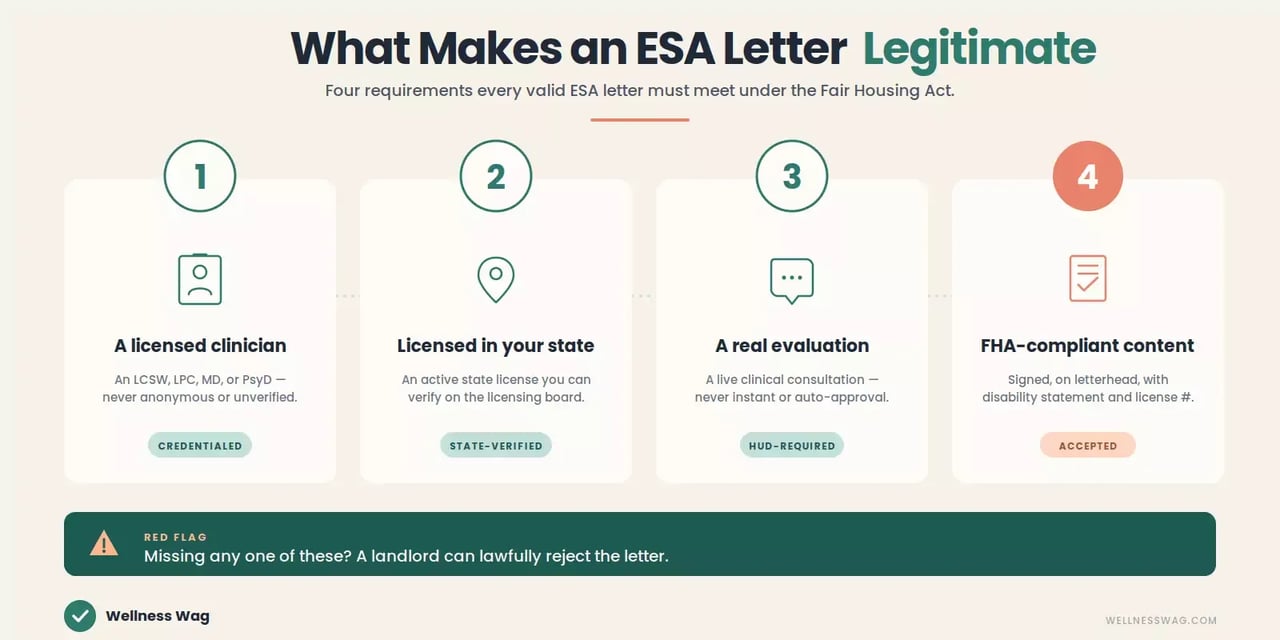 infographic legitimate horizontal