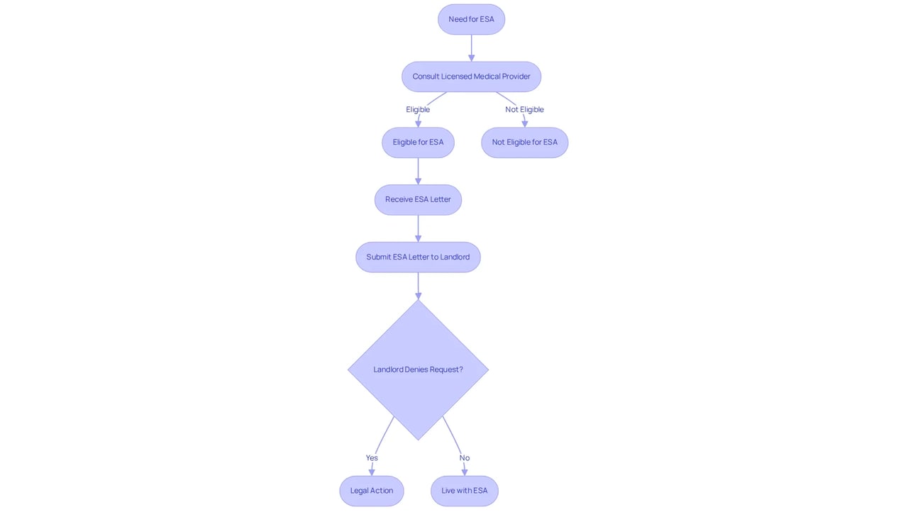Follow the arrows to see how to navigate the process of getting an ESA letter and the rights you have as a tenant. Each step shows what you can do and what to expect at each stage.