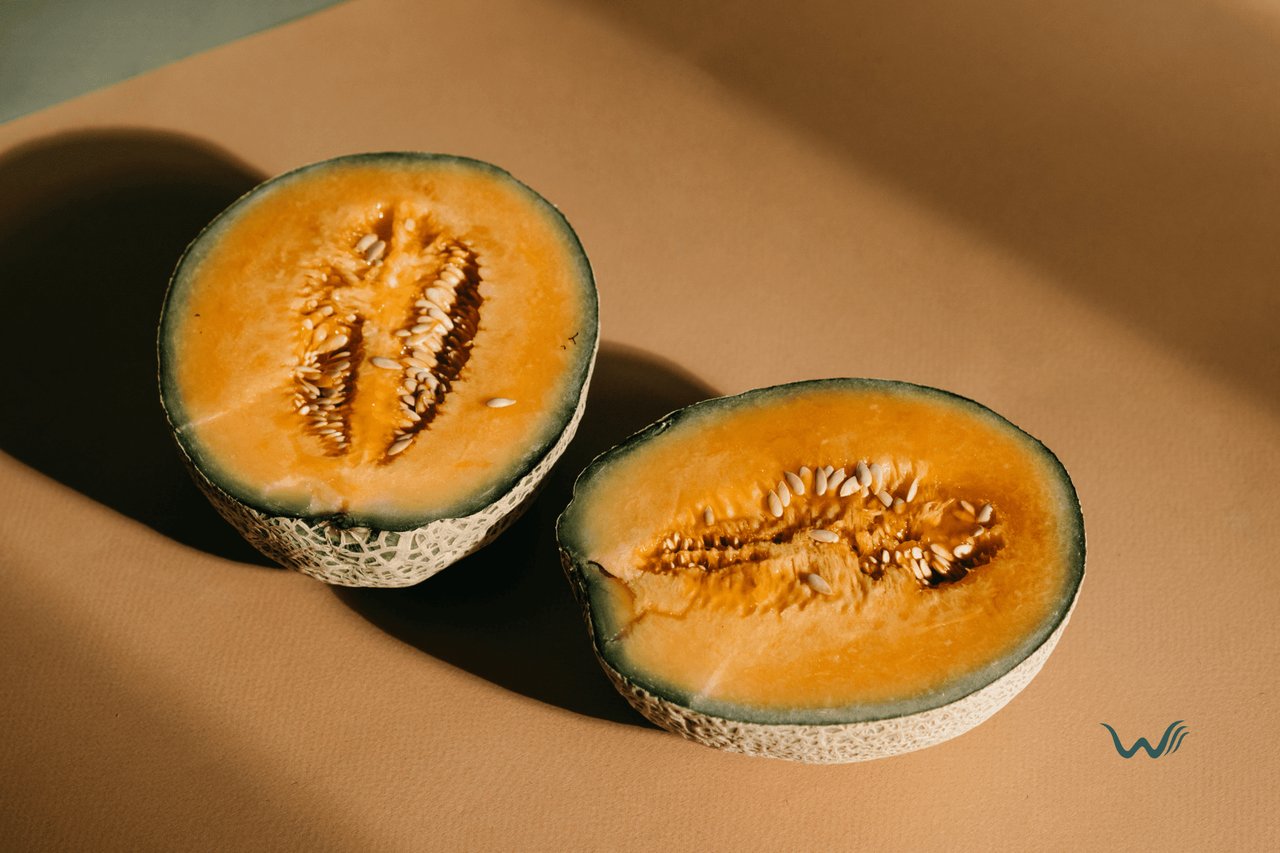 Is Cantaloupe Safe For My Dog?