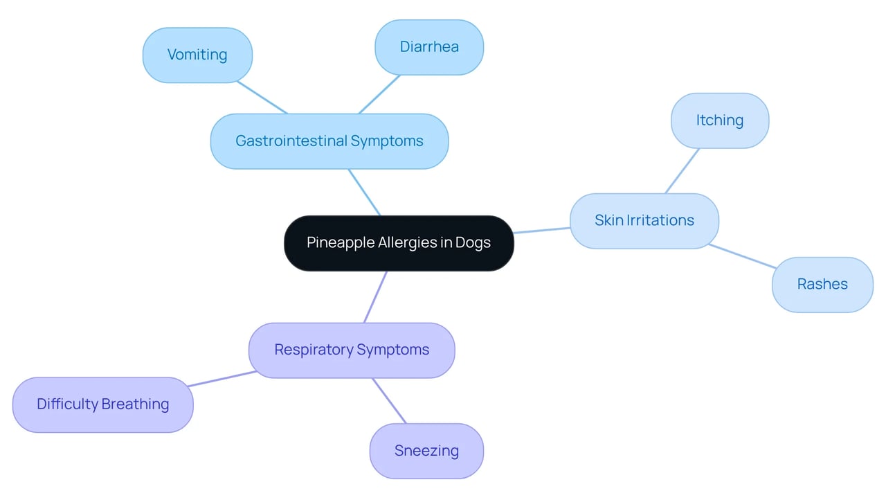 The center shows the topic of pineapple allergies in dogs. Each branch represents a category of symptoms, and the leaves list specific symptoms that can occur. This layout helps you quickly understand what to look for if you suspect your dog has a pineapple allergy.
