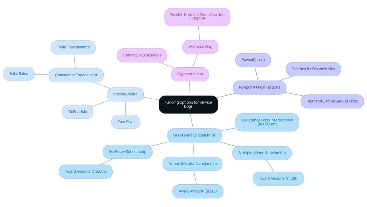 The central node represents the overall topic of funding for service dogs, with branches showing different ways to obtain financial assistance. Each color-coded branch helps you easily identify the various options available.