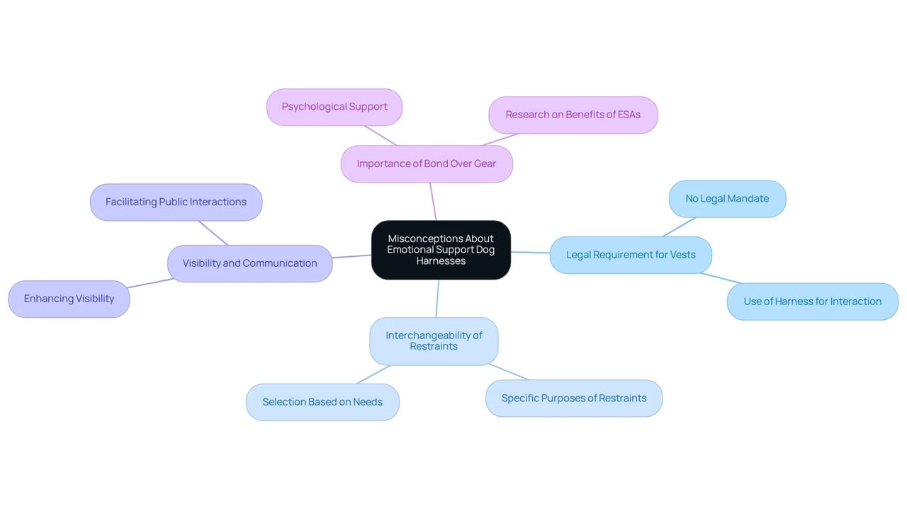 The central idea is the misconceptions about emotional support harnesses. Each branch shows common myths and their clarifications, helping pet owners understand the real facts and make informed decisions. The central idea is the misconceptions about emotional support harnesses. Each branch shows common myths and their clarifications, helping pet owners understand the real facts and make informed decisions.