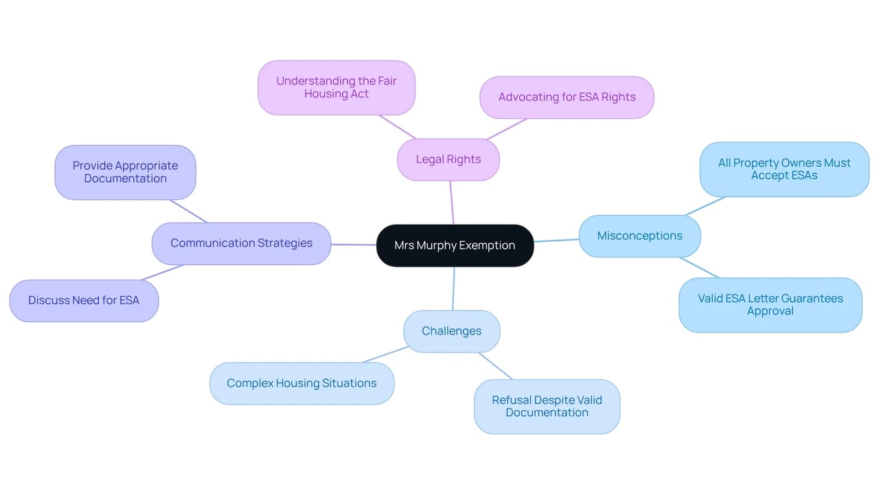 The central node represents the exemption, while branches detail various misconceptions and strategies to navigate these challenges. Each color-coded branch helps differentiate between ideas, making it easier to understand the overall landscape.