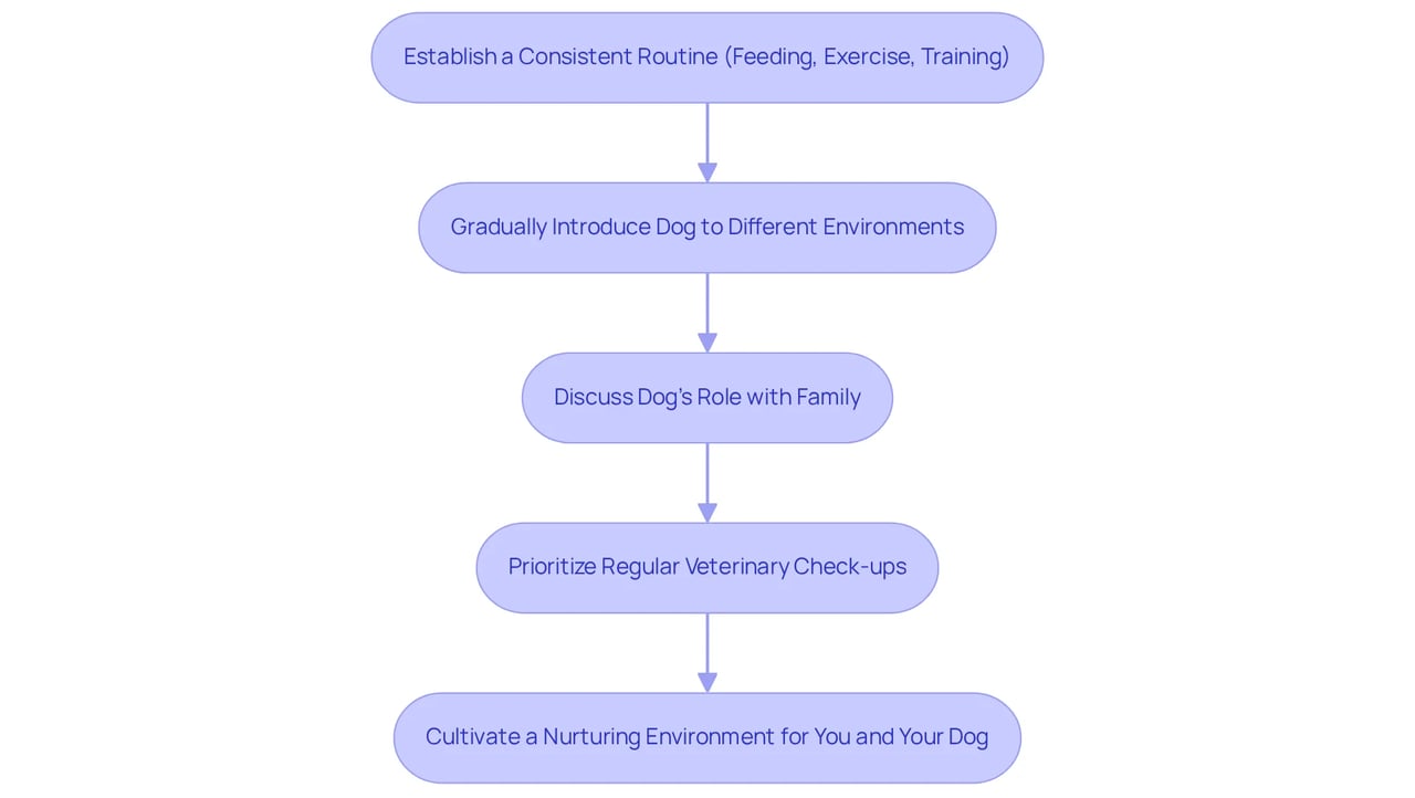 Each box represents a step in the process of integrating your support dog into your life. Follow the arrows to see how these steps connect and lead to a stronger bond and improved mental health.