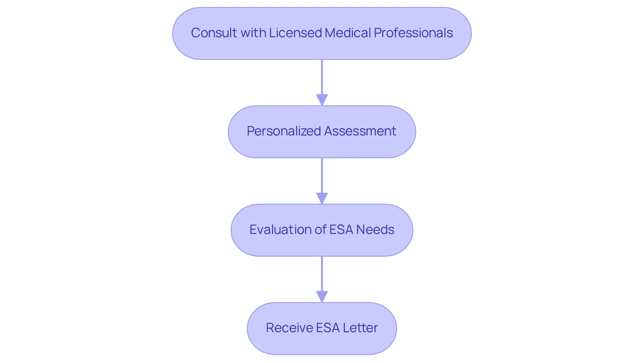 Each box represents a step in the process — follow the arrows to see how you can move from one stage to another, starting with consultation and ending with receiving your ESA letter.