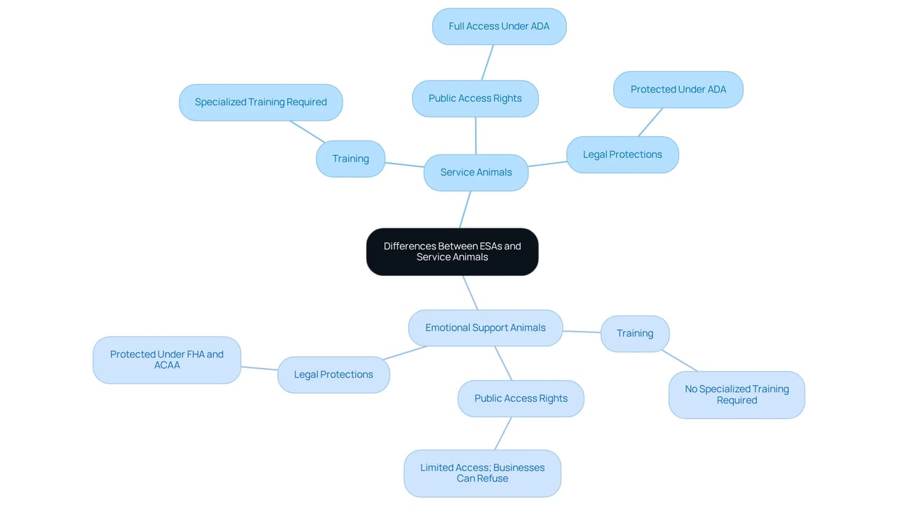 The central node shows the main topic of comparison. Each main branch represents one type of animal, and the sub-branches detail their specific characteristics and rights. This visual helps clarify how these two categories differ and relate to each other.