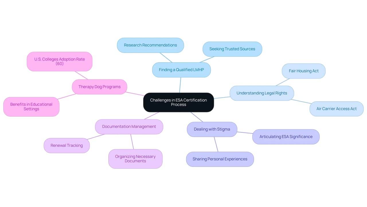 The central node represents the overall challenges, with branches highlighting specific areas of concern and their related subtopics.