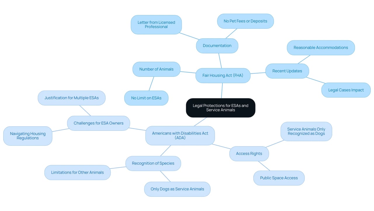 The central node represents the main topic, while branches illustrate key laws and their details. Each color-coded section helps you easily identify and understand the different aspects of legal protections available.