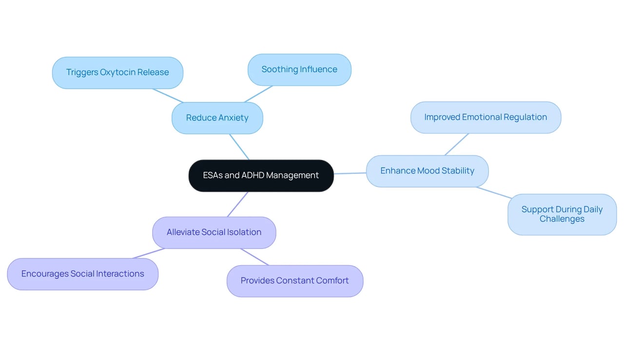 The central idea is how ESAs help manage ADHD. Each branch shows a specific benefit, and the sub-branches offer more details about how they contribute to emotional stability and well-being.