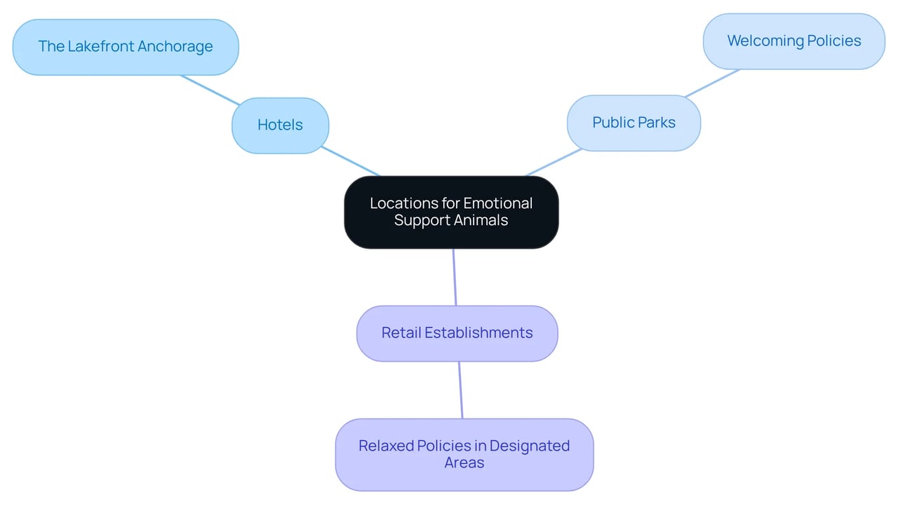 The central node represents the main topic of locations for emotional support animals. The branches show different types of establishments that welcome ESAs, helping you navigate where you can bring your supportive companion. The central node represents the main topic of locations for emotional support animals. The branches show different types of establishments that welcome ESAs, helping you navigate where you can bring your supportive companion.