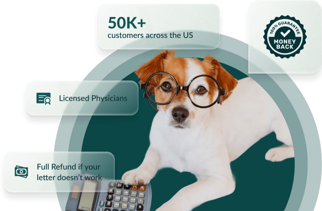 A dog wearing glasses beside a calculator
