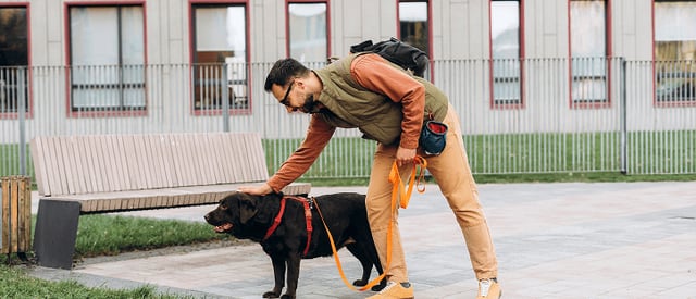 Man interacting with psychiatric service dog outdoors