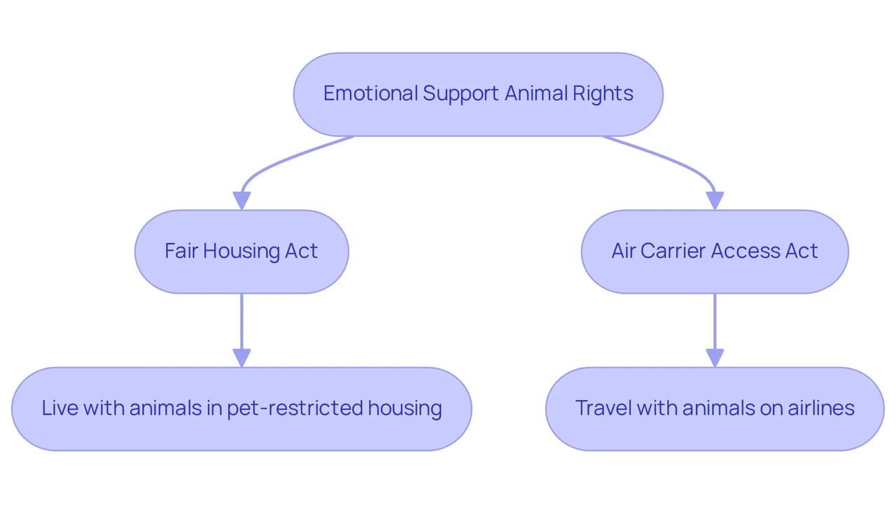 Follow the arrows to understand your rights as an ESA owner. Each box represents a specific protection or right, ensuring you know where you can live and travel with your emotional support dog.